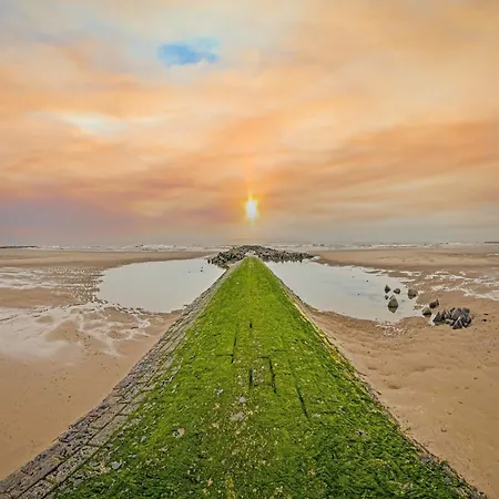 By Belgian Coast With Sea View דירה *